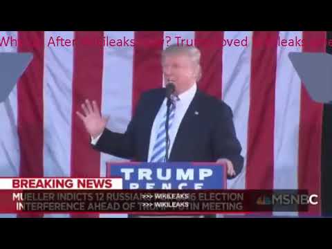 Compilation of Donald Trump Referencing Wikileaks On The Campaign Trail