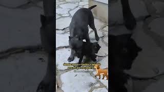 me educando seu filho