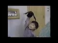 2 Episodes Of Sesame Street