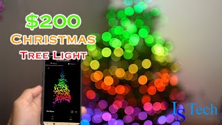 $200! Christmas Tree Light