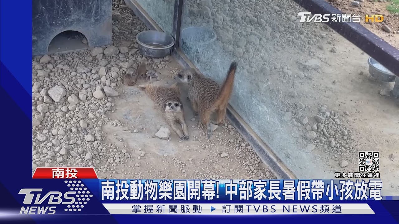 南投動物樂園開幕! 中部家長暑假帶小孩放電