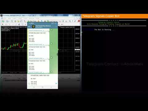 Video Telegram Signals Hunter MT4