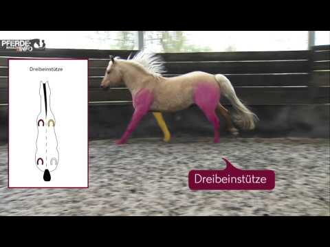 Wenn Rogen und steife Gelenke angehoben Nackenmassage mit Honig mit Osteochondrose