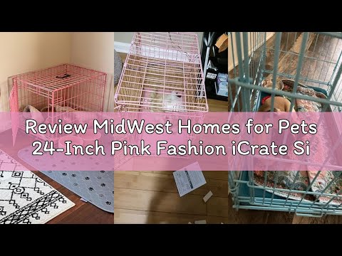 MidWest Homes for Pets 36-Inch iCrate for Medium-Large Breeds, 41-70 lbs, Double Door Folding Dog Crate with Divider Panel, Leak-Proof Tray & Secure Latches, Portable, Durable & Easy to Assemble video review thumbnail