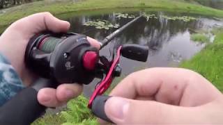 Ambassadeur abu garcia black max