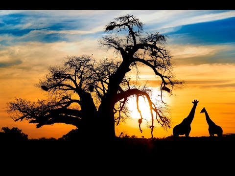 Meditation Music, Relaxing Music, Stress Relief, Meditation, Healing, Sleep, Study, Zen, Spa, ☯106
