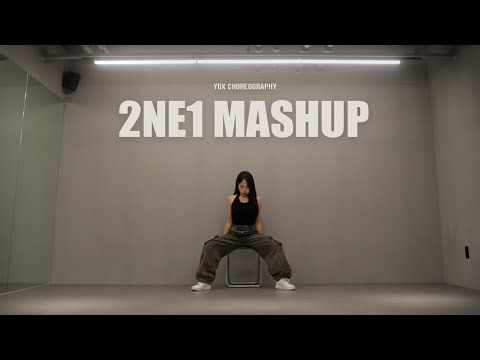 [ '2NE1 Mash Up' 안무 거울모드 MIRRORED | 커버댄스 DANCECOVER | 1인안무 ]