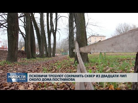 24.10.2019 / Псковичи требуют сохранить сквер из двадцати лип у дома Постникова