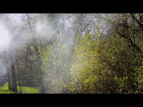 Bring Fire from One Year In The Artist's Garden Spring 2023 June Gersten Roberts and Howard Haigh