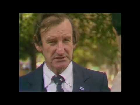 1980 escort cup grand final