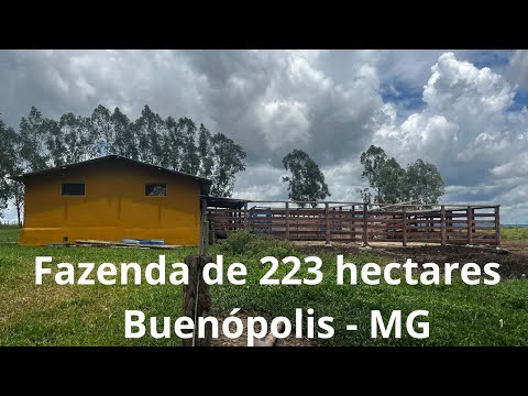 Fazenda de Porteira Fechada em Buenópolis – Minas Gerais | Oportunidade Única no Coração do Estado