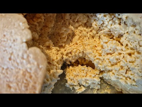 Spuntino & casu marzu: il sorbetto dei sardi ❤️