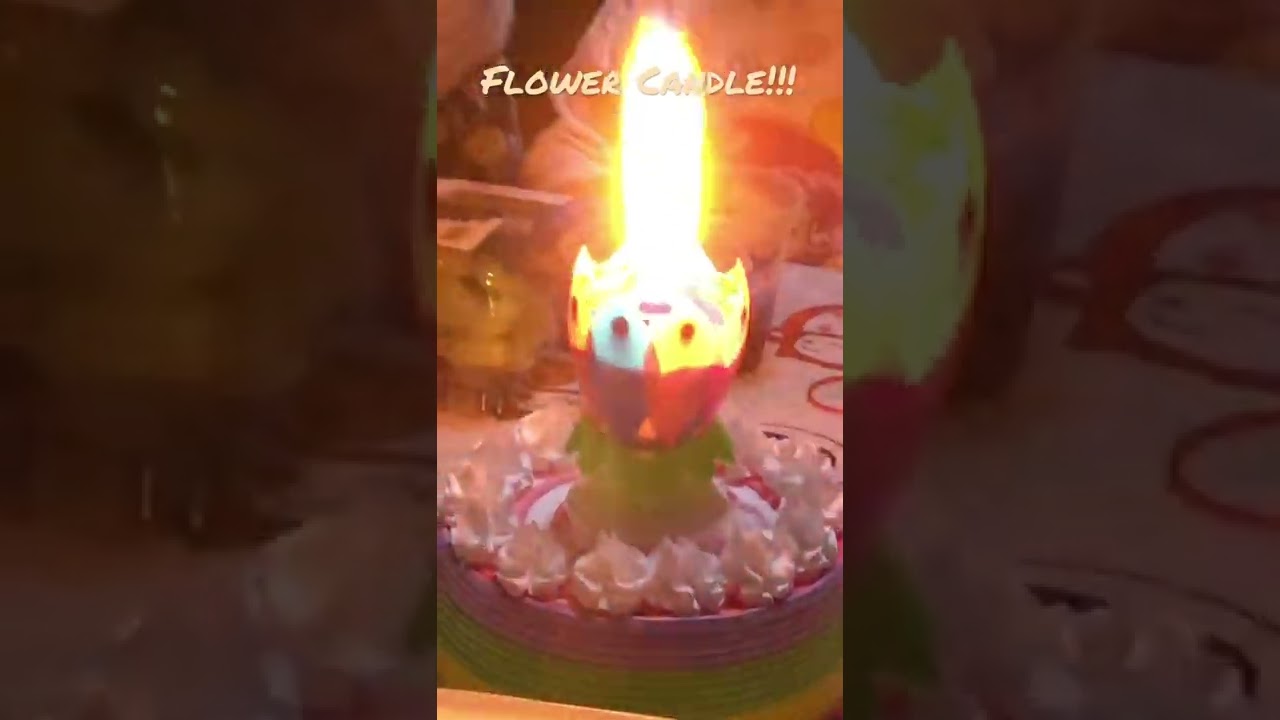 AMAZING FLOWER CANDLE!!!!!