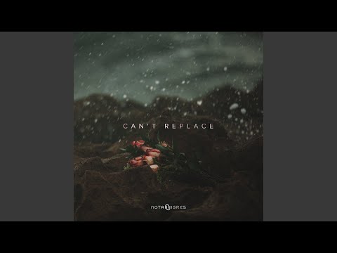 Can't Replace