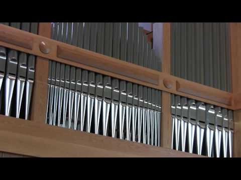 Joyce Alldred - The Granada Connection