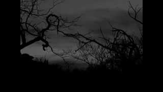 Sopor Aeternus - Die Bruderschaft Des Schmerzes - Subtitulos español