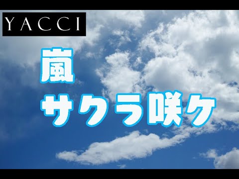 🎈やってみた！ 嵐 / サクラ咲ケ🎠  (cover)  YACCI🎨