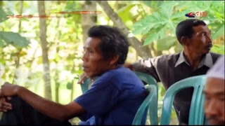 Download lagu Live New LARISTA Campursari, In Gadon Kradenan 2018 NEW ANUGRAH AUDIO mp3 Download lagu Live New LARISTA Campursari, In Gadon Kradenan 2018 NEW ANUGRAH AUDIO mp3