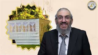 🌿🤝 מסר לחג הסוכות – כוחה של אחדות | הרב גואל אלקריף (ארגון קול הלשון) - התמונה מוצגת ישירות מתוך אתר האינטרנט יוטיוב. זכויות היוצרים בתמונה שייכות ליוצרה. קישור קרדיט למקור התוכן נמצא בתוך דף הסרטון 🌿🤝 מסר לחג הסוכות – כוחה של אחדות | הרב גואל אלקריף (ארגון קול הלשון) - התמונה מוצגת ישירות מתוך אתר האינטרנט יוטיוב. זכויות היוצרים בתמונה שייכות ליוצרה. קישור קרדיט למקור התוכן נמצא בתוך דף הסרטון