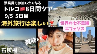 <阪急交通社 トルコ旅行8日間>5日目☆パムッカレ&エフェソス‼️世界文化遺産三昧dayからイスタンブールへ✈️