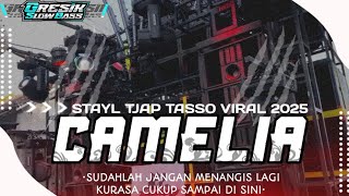 Download lagu DJ CAMELIA TRAP PARTY MIDEL TASSO VIRAL TERBARU TIKTOK || F23 PRO mp3
