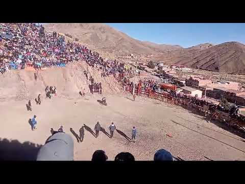 #corrida-de-toros#ganaderia-juventud#Oruro-huanuni toro "loco"