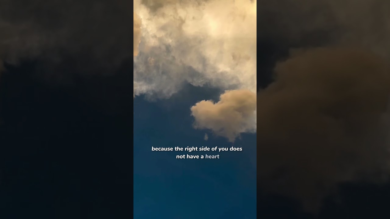 Why hugs are amazing | #love  #quotes #heart #hugs #shorts