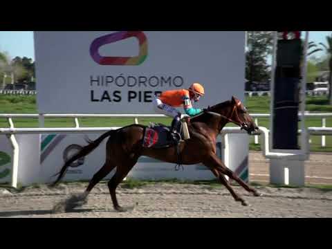 210917 c07 - QUIET D'OR  - HIPODROMO LAS PIEDRAS