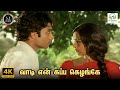 Vaadi En Kappa Kelange Alaigal Oivathillai Ilayaraja Gangai Amaran Bhaskaran Jency 4K Song