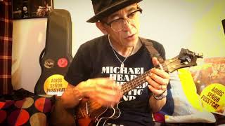 "Winter turns to Spring"(Acoustic ukulele Cover of "Michael Head & The Red Elastic Band" 14.July.20