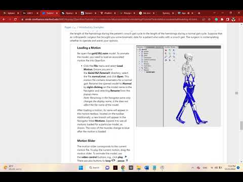 Opensim Software Plotting Graphs Tutorial 1