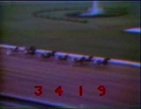 Niatross verliert in Saratoga