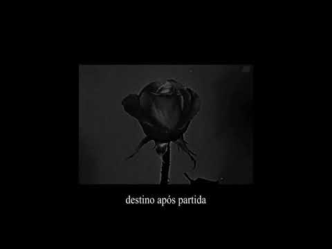 Treezy - Rosas Negras (Prod.: Raro VDL) #koivive