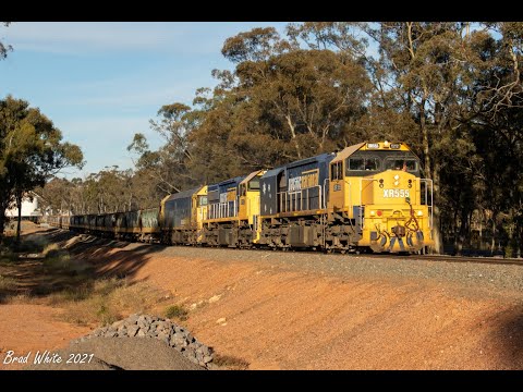XR555, XR557 and BL34 roar through Llanelly with 9154 Quambatook grain- 17/11/21