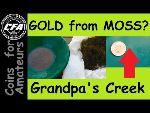Grandpa's Creek | Does natural moss along streams catch Gold | Does moss catch Gold