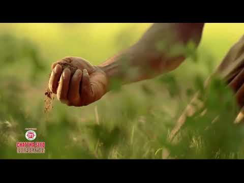 500g Perlite Granules