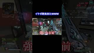 イケボ野良とマッチしたソロランクwww #apexlegends