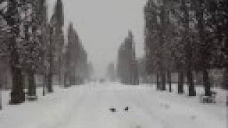 Vienne - William Sheller