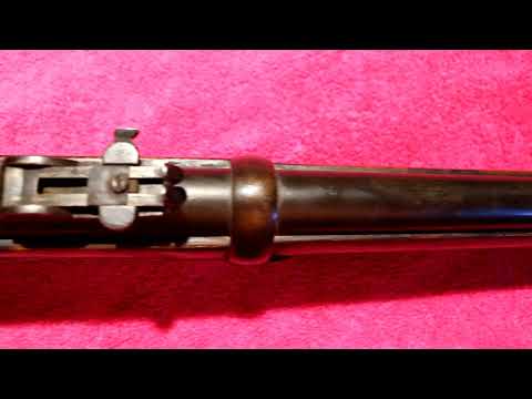 Buffalo Gun