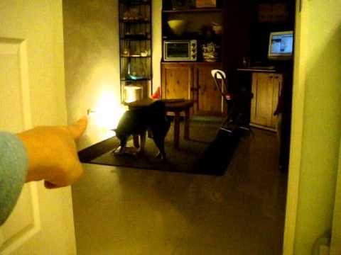 來寶請我幫忙開零食包(原發表者:babycat_tw)(影片)