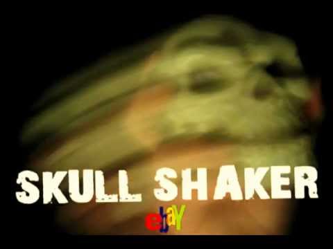 SKULL SHAKER (Maracas) Great for any Musician!