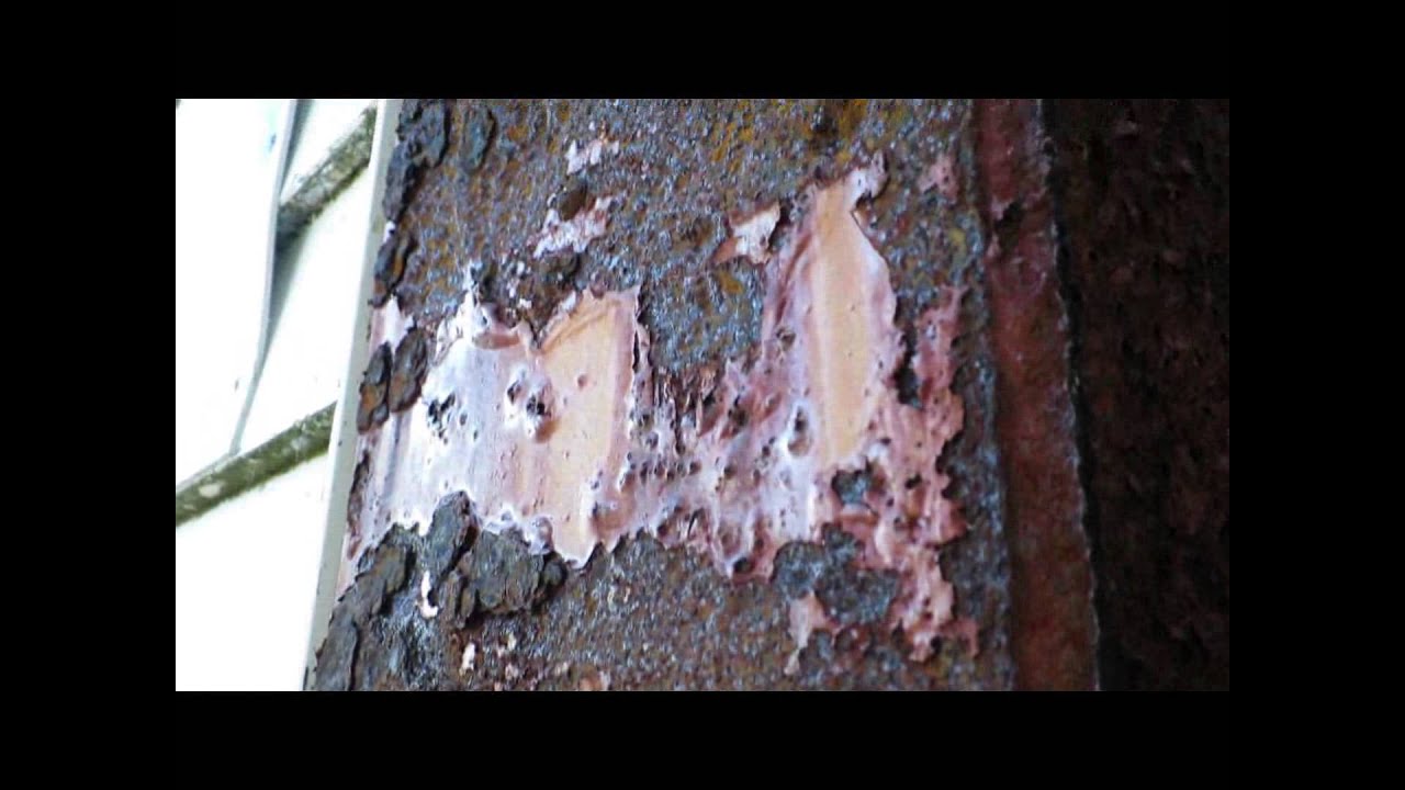 Bodies of Art - trailer #4