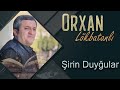 Orxan Lokbatanli - Sirin Duygular (Official Audio)