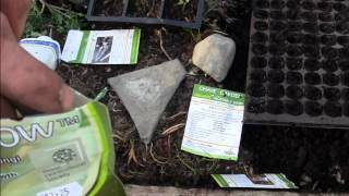 Mycorrhizal fungi for growing vegetables