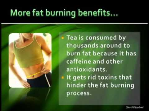 comment prendre fat burner