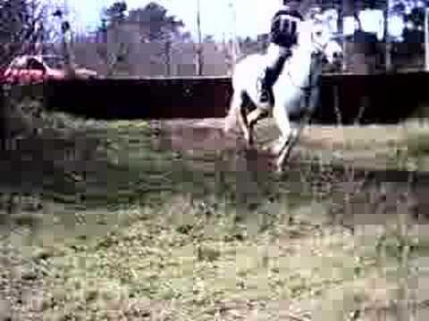 Bagmoor XC 08/04/2007