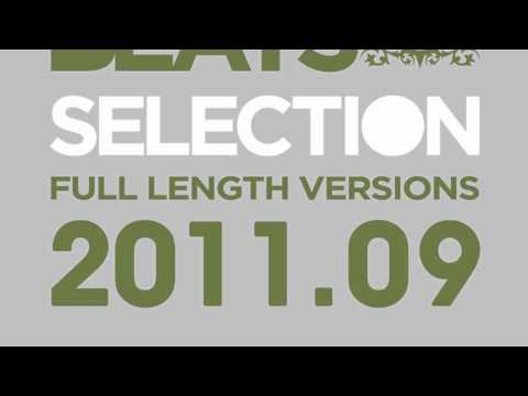 Serious Beats Selection 2011.09