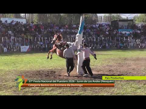 37° Fiesta Nacional del Puestero. Junín de los Andes, Neuquén. Cat. Bastos con Encimera. Día Domingo