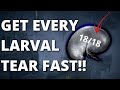 A Quick Guide To ALL 18 Larval Tears | Rebirth as much as possible!