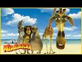 Conozcan A La Pandilla DreamWorks Madagascar En Español Latino
